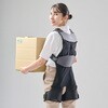 DARWING Hakobelude ダイヤ工業