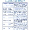 - JlLb`N[i[ JlΌ 03930930