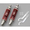 69077 ALNbV(265)SPGCMNK DAYTONA(fCgi) 03950117
