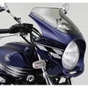 70076 AR�g�\�E XJR1300 07�u���[�X�g���{ DAYTONA(�f�C�g�i) 03950616