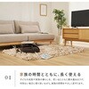 270109321 使うほど柔らかな風合い ツイストパイルのシャギーラグ リレイア 萩原 04085982