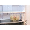 CC-1152 ガジェコン ワンプッシュ野菜水切り器 パール金属 04128070