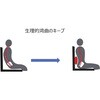 MB032-01 Dウィングバック 車いす用クッション 25-2379-00 ユーキ・トレーディング MB032-01 ユーキトレーディング 04142271