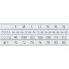 CK5016-2-L クリーンパンツ アドクリーン 04172407