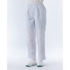 CJ5300-1-L クリーンパンツ アドクリーン 04171951