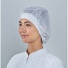 G7406-1-F ヘアーネット アドクリーン 04179066