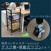 KRSR-3 gȒP2Xebv! AX`[bN ACXI[} 04348718