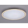 CL8DL-5.0WF-U LEDV[OCg 5.0 Ebht[ F ACXI[} 04391329