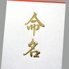 28-3110 札紙 短冊 命名 金箔 100枚入 タカ印(ササガワ) 04416969