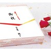 4-113 のし紙 祝 赤金 270×388mm 100枚入り タカ印(ササガワ) 04417048