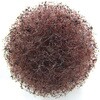 コピー用紙/ラベルシールカテゴリ