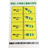 吹き流し 看板