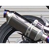 0277-K95-SB NASSERT-Evo TI/SB Ninja250R BEET 04730888