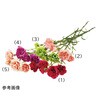 33-47-7-2 J[l[VXv[  52.5cm 6{ 33-47-7V[Y AY 04794889