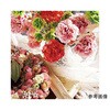 33-47-7-2 J[l[VXv[  52.5cm 6{ 33-47-7V[Y AY 04794889