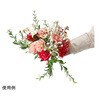 33-48-1-2 J[l[Vu[P 20cm  33-48-1V[Y AY 04794925