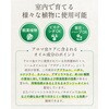 - 水でうすめてミストする植物のためのアロマ虫ケア 日東エフシー 04858222