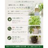 - 水でうすめる植物の活力剤 日東エフシー 04858231