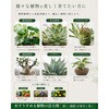 - 水でうすめる植物の活力剤 日東エフシー 04858231