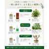 - 水でうすめる植物の活力剤 日東エフシー 04858231