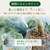 - どんな角度でも使える水やりボトル 日東エフシー 04858240