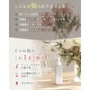 - プッシュで簡単切り花の栄養剤 日東エフシー 04858249