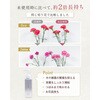 - プッシュで簡単切り花の栄養剤 日東エフシー 04858249