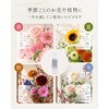 - プッシュで簡単切り花の栄養剤 日東エフシー 04858249
