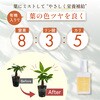 - 水でうすめてミストする有機入り液肥(有機タイプ) 日東エフシー 04858258