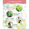 - 水でうすめてミストする液肥(無機タイプ) 日東エフシー 04858276