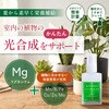 - 水でうすめてミストするサプリ 日東エフシー 04858267