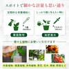- 水でうすめてミストする液肥(無機タイプ) 日東エフシー 04858276