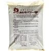 - 貝化石パワー イノチオグループ 04859028
