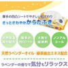 1050559 さわやか3点セット ウェットシートタイプ ピジョンタヒラ 04859159