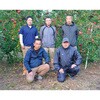 C12-3 アグリードグループ 福島県産 サンふじりんご ノーブランド 04863307