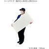 ST0103 プラダンシート 450x900 厚3mm 半透明 10枚入 プラダンのヤマコー 04872502