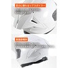 68769 DN-013ST フルフェイスヘルメット DAYTONA(デイトナ) 04873561