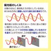 53299 偏光板 200×200mm アーテック[学校教材・教育玩具] 04897738