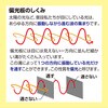 53298 片面粘着有偏光板 アーテック[学校教材・教育玩具] 04897808