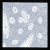 クリア懐敷 花柄(200枚入) 無蛍光和紙 アーテック[和紙]