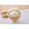 白米/わかめ/五目 α化米 100g アイリスオーヤマ 04922719