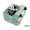 CTRVS-GT1-TH sR[^ ^Cv }Olbgt Ώی` TCY1 CTRVS-GT1V[Y New-Era(j[G[) 04953335