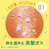 4548514160514 きき湯 ナトリウム芒硝炭酸湯 バスクリン 04959609