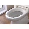 AA-86 流せるおしっこ吸う～パット サンコー[日用品] 04959837