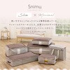 1010488 Snimu.衣類収納ケース アイメディア 04959932