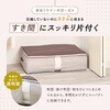 1010486 Snimu.布団一式収納ケース アイメディア 04959950