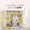 1010489 Snimu.ハンガー収納ボックス アイメディア 04959968