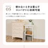 1010489 Snimu.ハンガー収納ボックス アイメディア 04959968