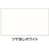- 水性シリコンアクリル外かべ用 アサヒペン 04961666