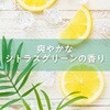 23340 シャボネット SARAYA(サラヤ) 04962391